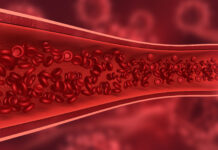 Stretch, For Your Arteries’ Sake