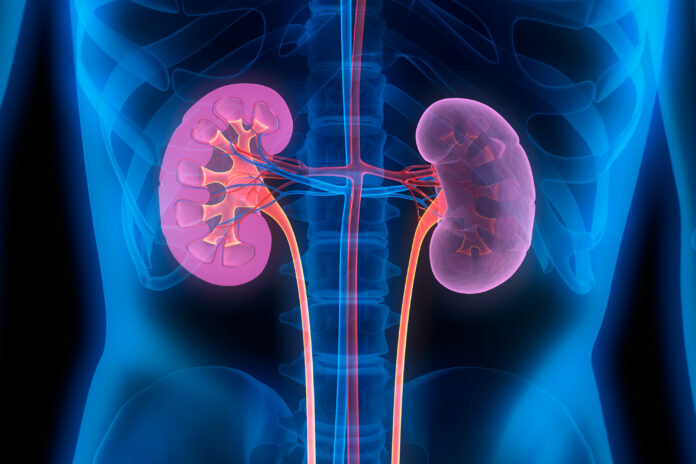 Chronic kidney disease