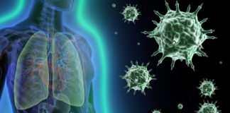 healthy immune system