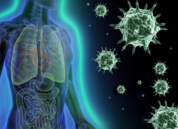 healthy immune system