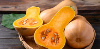 Shells with Italian butternut squash sauce