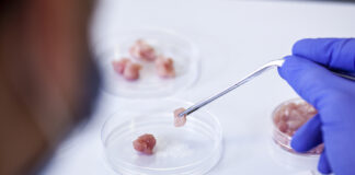 Lab-Grown Meat