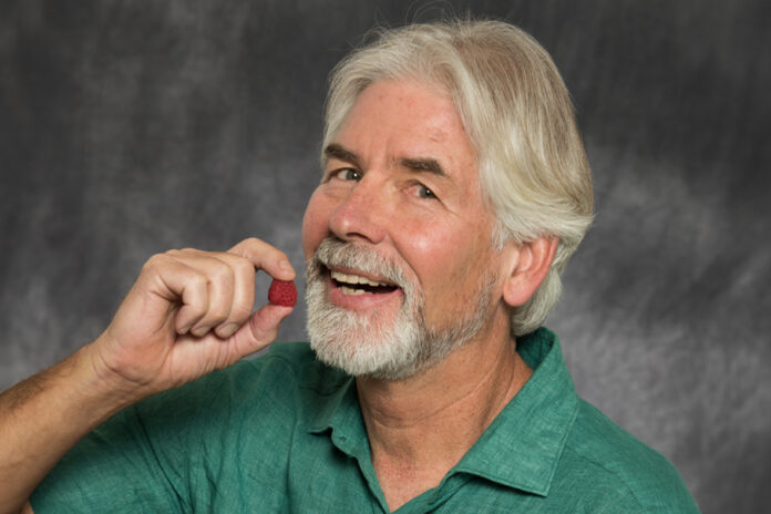 netflix documentary twins diet