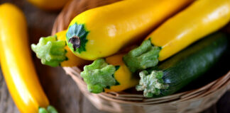 Summer Squash Parmesan