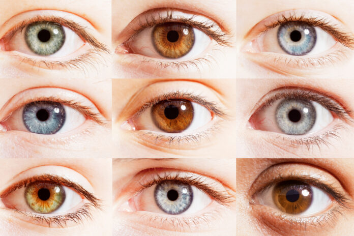 iStock-483596343_3000x2000 eye color