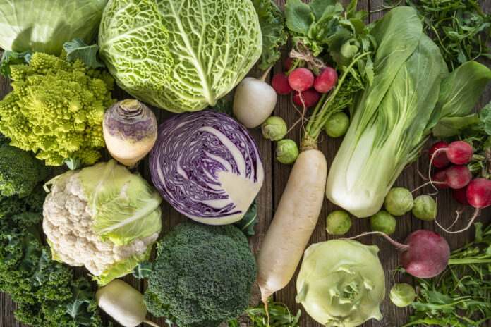 Crucifers vegetables assortment including cabbage, broccoli, cabbage, turnip, kale, romanesco, radish, arugula cruciferous vegetables