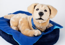 Robotic Pets: Walks and Litter Boxes Not Needed Robotic pet