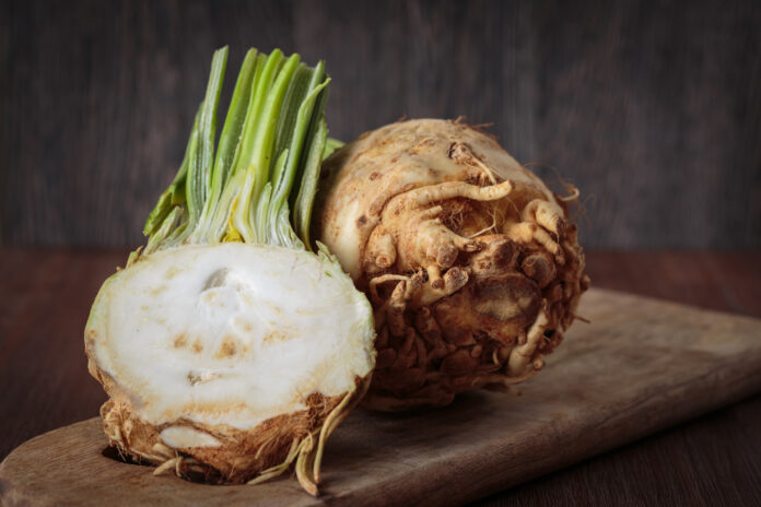 celeriac puree