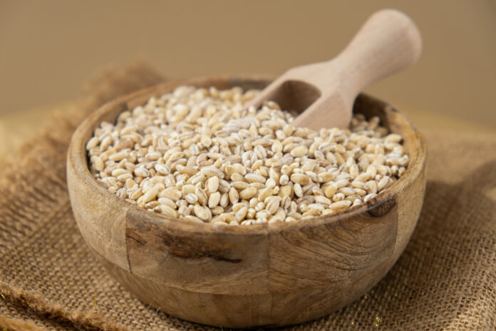 Chili-Lime Barley Salad