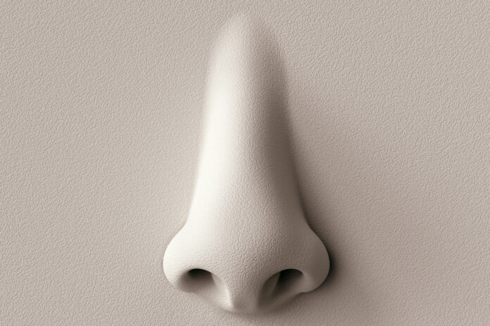 lose sense of smell