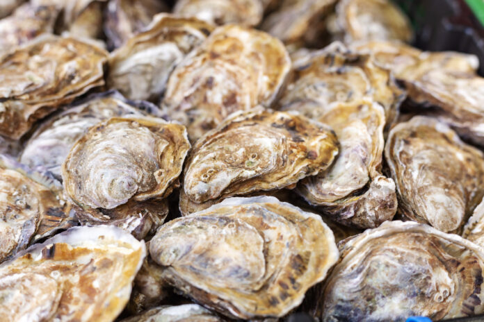 Are oysters vegan