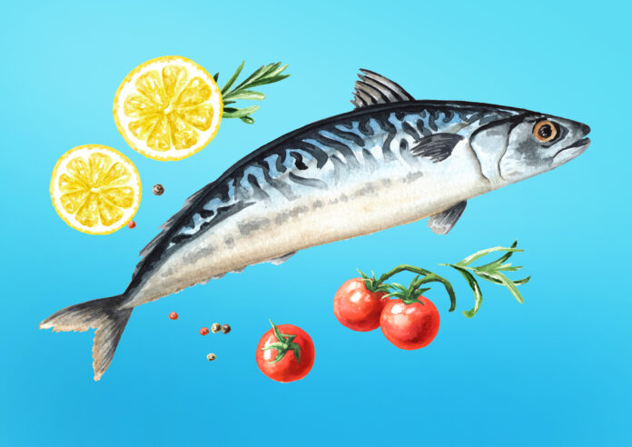 Grilled Mackerel