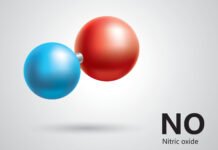 Nitric Oxide: Is It the Answer to Healthy Aging? Nitric oxide