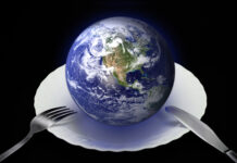A Diet That’s Good for You and the Planet Planetary Health Diet